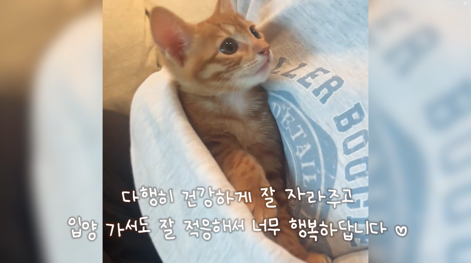 b705147378d8453bcb588092151bd5e1_1733377363_7503.png